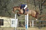 QLAMEUR GALANT